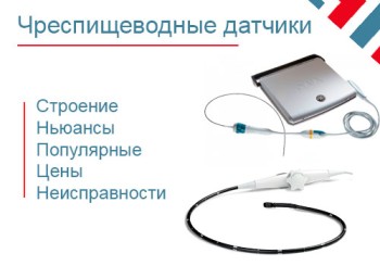 Чреспищеводные или TEE датчики узи