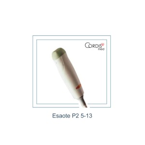 Секторный датчик Esaote P2 5-13