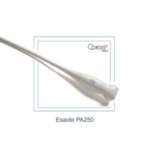 Секторный датчик Esaote PA250