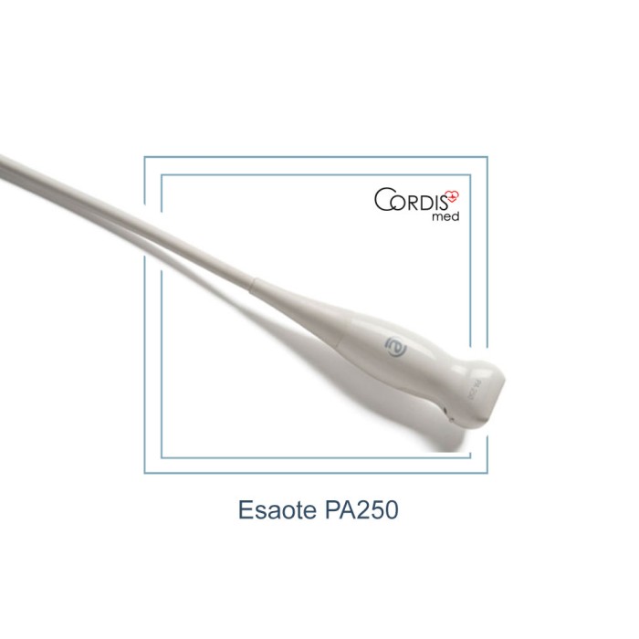 Секторный датчик Esaote PA250