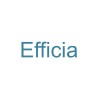 Серия Efficia