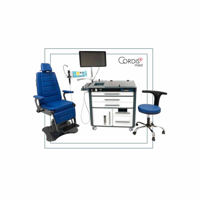 DS.AssistENT от официального поставщика