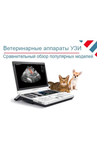 Обзор популярных ветеринарных аппаратов УЗИ