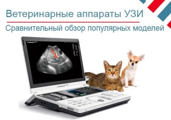 Обзор популярных ветеринарных аппаратов УЗИ