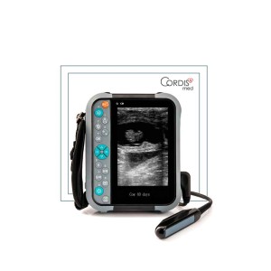 Ветеринарный аппарат УЗИ BYI B5V