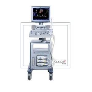 GE Logiq P6