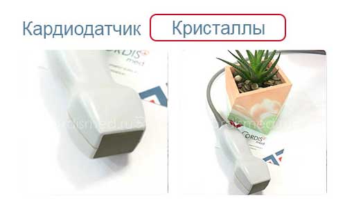 Ремонт кардиологического УЗИ датчика