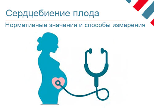 Сердечный ритм плода