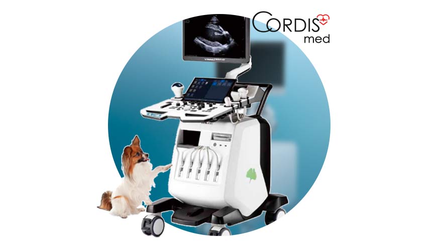 Ветеринарные аппараты УЗИ